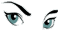 *581*